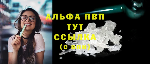 стаф Горняк