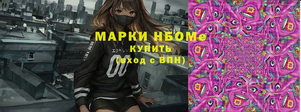 стаф Горняк