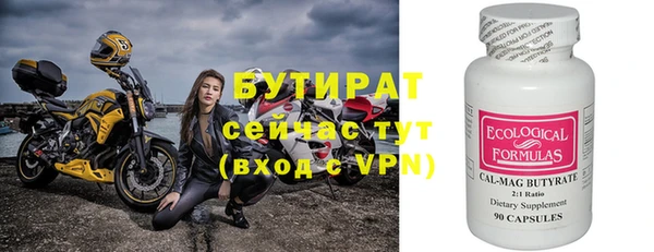 стаф Горняк